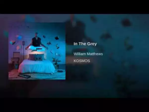 William Matthews - In The Grey